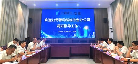 蒙胜益到设备安装分公司项目、桂金分公司调研指导